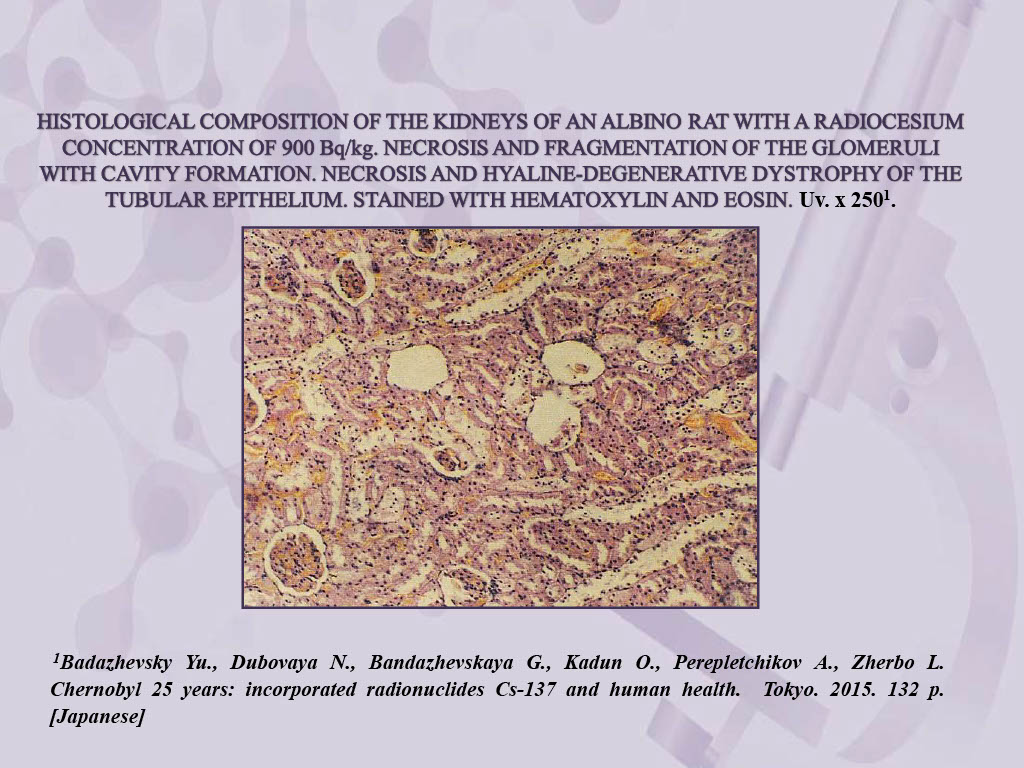 slide 12