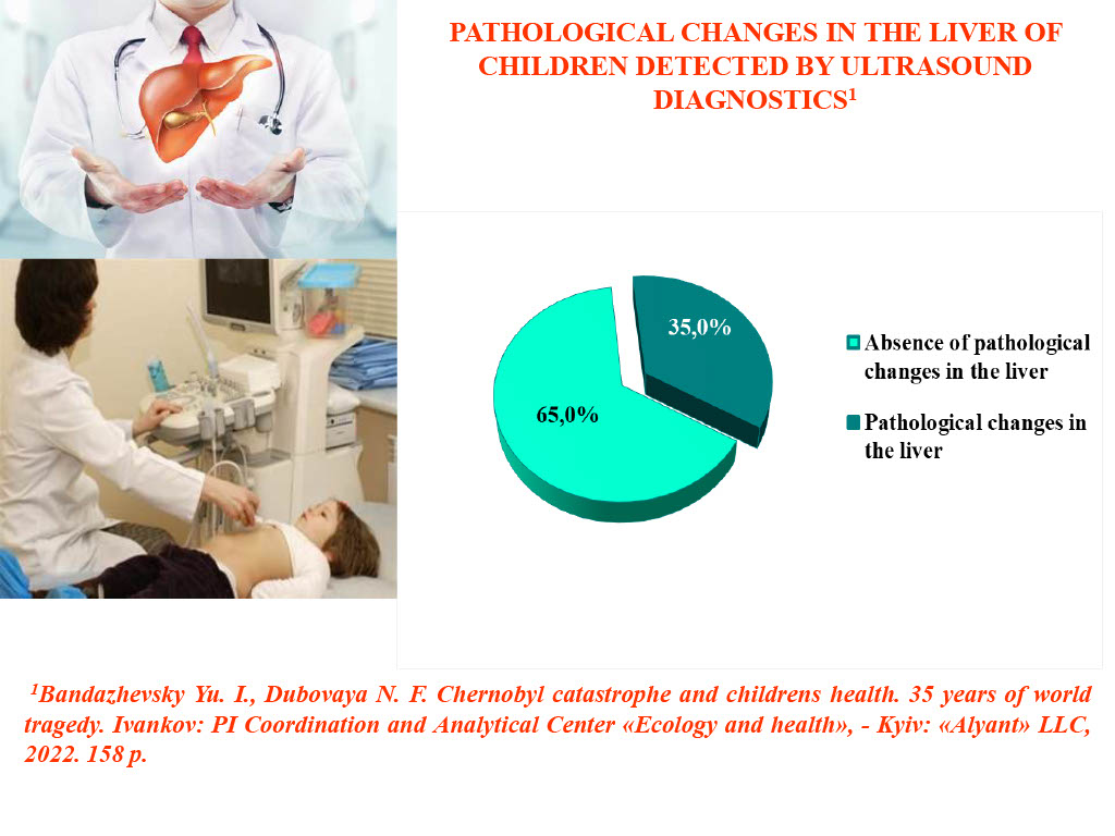 slide 13
