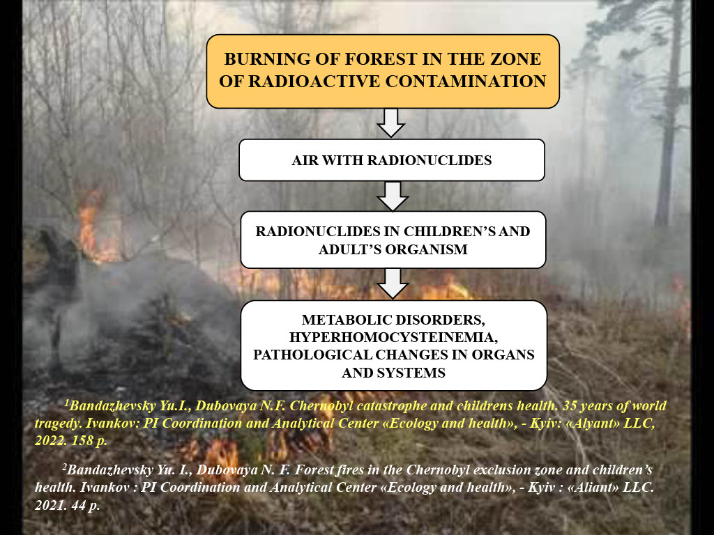 slide 19