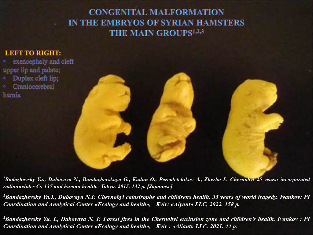 slide 28